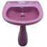 Elongated Comfort Height Toilet Purple